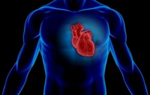 CoQ10-boost-heart