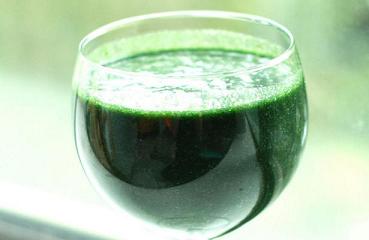 what-is-chlorella