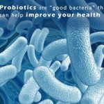 What You Should Know About Probiotic Acidophilus