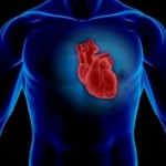 CoQ10: Congestive Heart Failure
